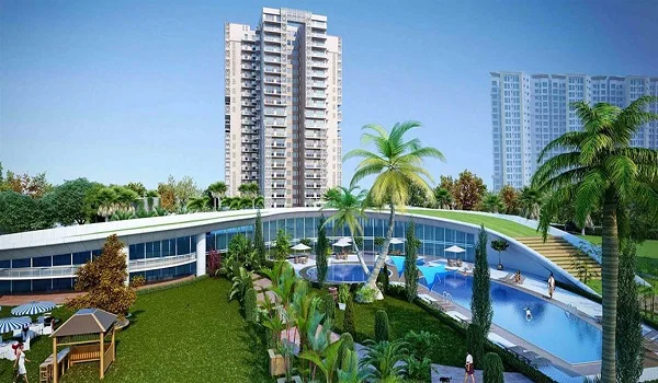 Purva Weaves Completion Date
